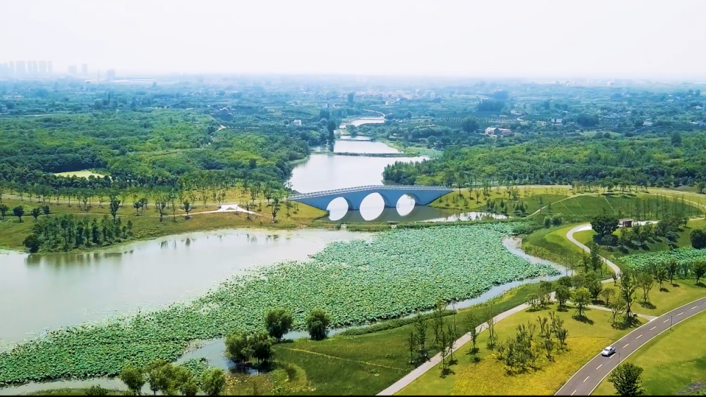 风景如画!枝江金湖国家湿地公园竣工验收!